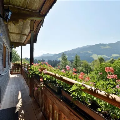 A beautiful balcony with blooming plants and a view of the mountains. The sun shines on the green landscape in the background.
