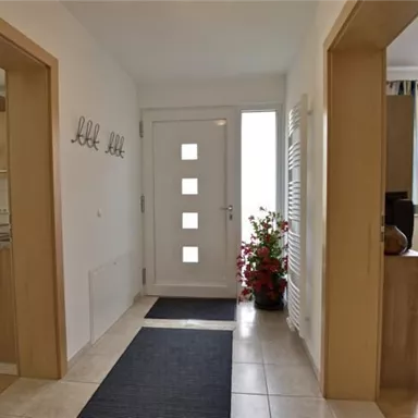 Ein heller Flur mit einer modernen Eingangstür und einem Teppich. An den Wänden befinden sich separate Zugänge zu anderen Räumen und eine Pflanze verleiht Farbe.