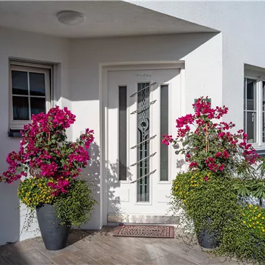 Ein eleganter Eingangsbereich mit einer modernen Tür und bunten Blumen in großen Töpfen. Die Pflanzen verleihen dem Eingang eine einladende Atmosphäre.