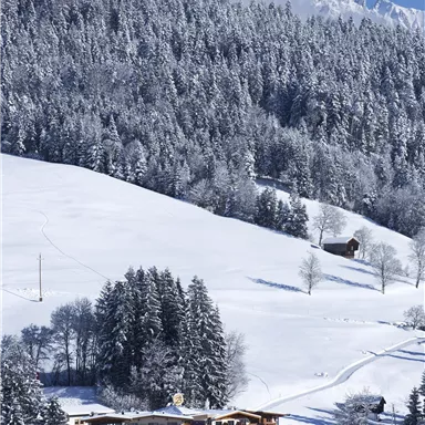 A snow-covered landscape with a cozy hotel in the foreground. In the background, tall, forested mountains are visible.