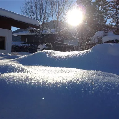 Eine verschneite Landschaft mit sanften Hügeln und der Sonne, die am Horizont scheint. Bäume und ein Gebäude sind im Hintergrund sichtbar.