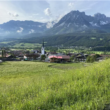 Eine malerische Landschaft mit grünen Wiesen und einem Dorf im Vordergrund. Im Hintergrund erheben sich majestätische Berge unter einem klaren Himmel.