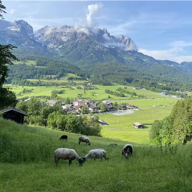 Eine malerische Landschaft mit sanften Hügeln und einer kleinen Ortschaft im Tal. Im Vordergrund grasen Schafe auf einer grünen Wiese, während im Hintergrund majestätische Berge zu sehen sind.