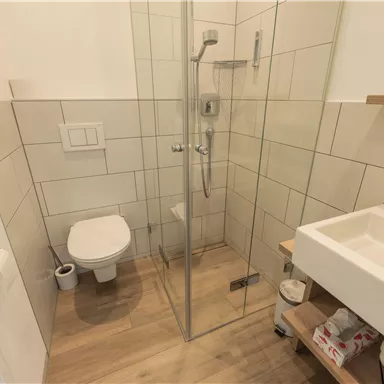 Das Badezimmer ist modern und hell gestaltet. Es verfügt über eine Dusche, ein Waschbecken und eine Toilette.