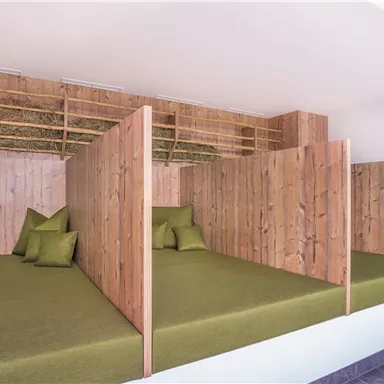 A modern sleeping setup with wooden partition walls and green mattresses. The cozy areas are designed in a clean and minimalist style.