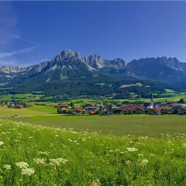 Eine beeindruckende Berglandschaft mit hohen Gipfeln und grünen Wiesen. Im Vordergrund sind kleine Häuser und eine blühende Flora zu sehen.