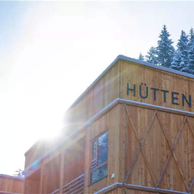 A modern wooden house in the mountains, surrounded by snow-covered fir trees. The sun shines bright and reflects off the building.