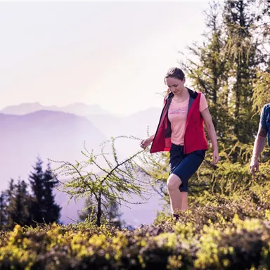 Zwei Wanderer genießen die Natur in den Bergen. Sie sind umgeben von Bäumen und einer malerischen Landschaft.