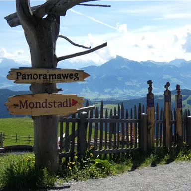 A wooden signpost indicates the directions to "Panorama Path" and "Moon Hut." In the background, the impressive mountains and a clear blue sky can be seen.