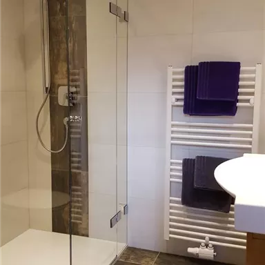A modern bathroom with a glass shower and a sink. Towels in purple hang on a towel warmer.