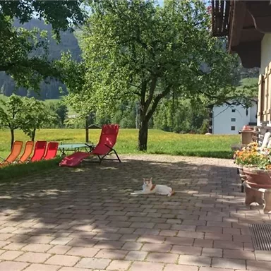 Ein sonniger Innenhof mit roten Liegen und einem ruhenden Kätzchen. Im Hintergrund sind grüne Wiesen und Bäume zu sehen.