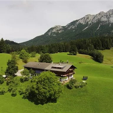 Eine malerische Landschaft mit grünen Wiesen, Bäumen und einem rustikalen Haus. Im Hintergrund erheben sich majestätische Berge unter einem bewölkten Himmel.
