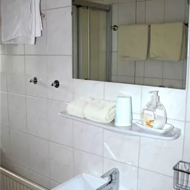 Ein einfaches Badezimmer mit einem Waschbecken und einem Spiegel. Handtücher und Toilettenartikel sind ordentlich aufbewahrt.