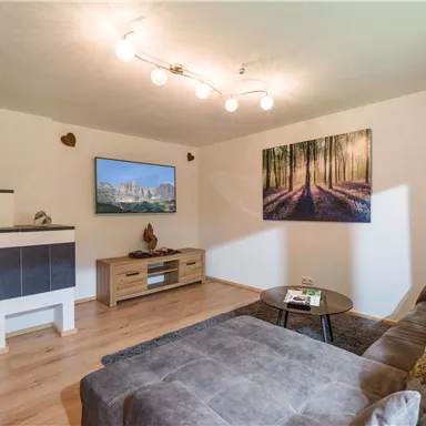 Ein gemütliches Wohnzimmer mit einem grauen Sofa und einem Couchtisch. An der Wand hängen ein Fernseher und ein dekoratives Bild von einem Wald.