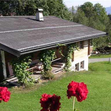 Ein gemütliches Holzhaus umgeben von grünem Rasen und blühenden Blumen. Im Hintergrund sind sanfte Hügel und Bäume zu sehen.
