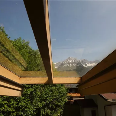 Ein Blick durch ein großes Fenster mit Holzrahmen auf schneebedeckte Berge. Die Umgebung ist grün und sonnig.
