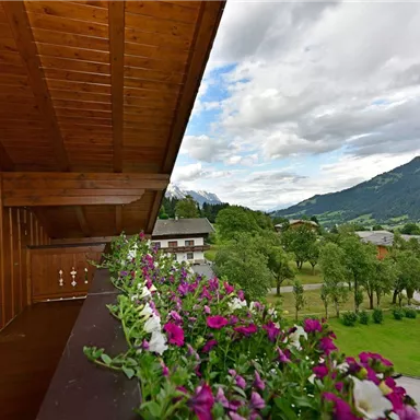 A balcony with colorful flowers and a view of green meadows and mountains. The sky is partly cloudy.