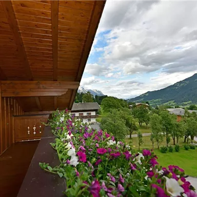 A balcony with flower boxes and a view of a green landscape. In the background, mountains and a cloudy sky can be seen.