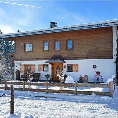 Ein charmantes Holzhaus im Schnee mit einem klaren blauen Himmel. Umgeben von Bäumen und einem kleinen Garten ist es einladend und gemütlich.