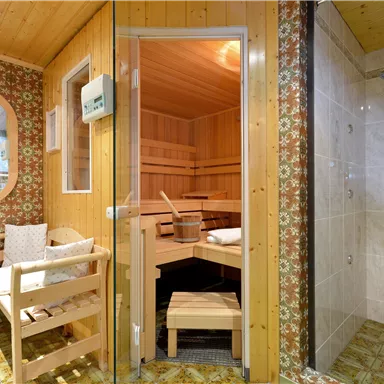 A cozy wellness area with a sauna and a shower. The room features warm wooden paneling and a relaxing atmosphere.