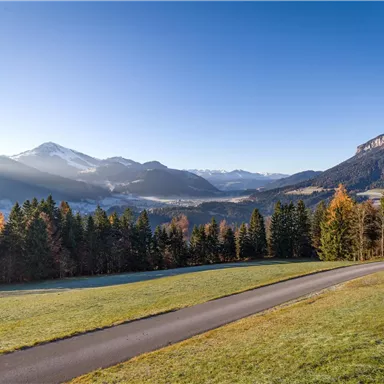 A picturesque landscape with mountains in the background and colorful autumn forest. A quiet path winds through the green meadow.
