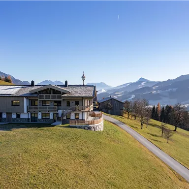 An elegant house on a green meadow with mountains in the background. The sky is clear and blue.