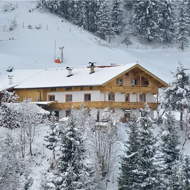 Ein malerisches Holzhaus im Schnee, umgeben von verschneiten Bäumen. Der Himmel ist grau und trostlos, was die winterliche Atmosphäre verstärkt.