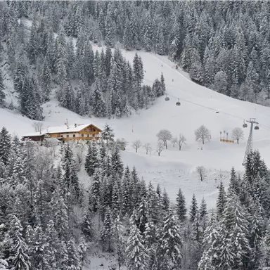 Eine verschneite Landschaft mit einem Holzhaus und vielen Tannenbäumen. Im Hintergrund sind die Skilifte und ein sanfter Hang sichtbar.