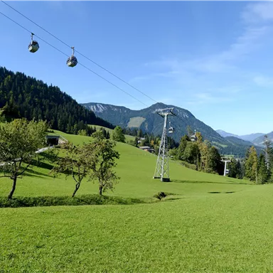 Eine grüne Wiesenlandschaft mit Bäumen und einer Seilbahn im Hintergrund. Die Berge sind klar sichtbar unter einem blauen Himmel.
