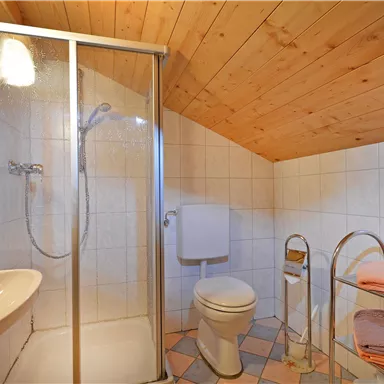 Ein modernes Badezimmer mit Dusche, Waschbecken und Toilettenbereich. Holzdecke und gefliester Boden sorgen für eine gemütliche Atmosphäre.