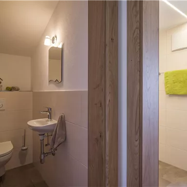 A modern bathroom with a toilet and a washbasin. On the right side is a shower with a towel and a large mirror.