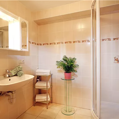 A modern bathroom with a bright tiled floor. It includes a sink, a shower, and a small plant on a glass table.