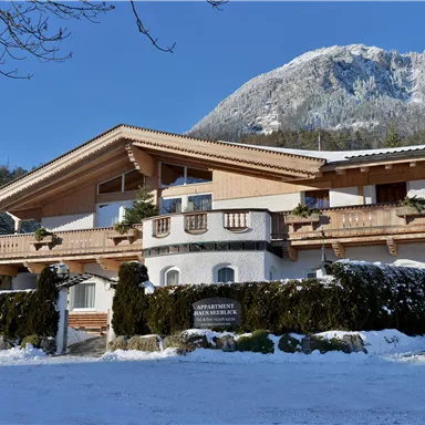 Ein charmantes Holzhaus im alpinen Stil, umgeben von Schnee. Im Hintergrund sind schneebedeckte Berge sichtbar.