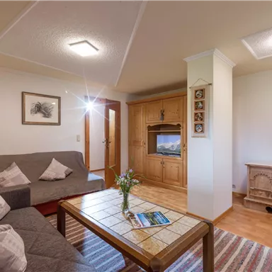 Ein gemütliches Wohnzimmer mit einer grauen Couch und einem Holztisch. An der Wand befindet sich ein Fernseher und eine Pflanze steht auf dem Sideboard.