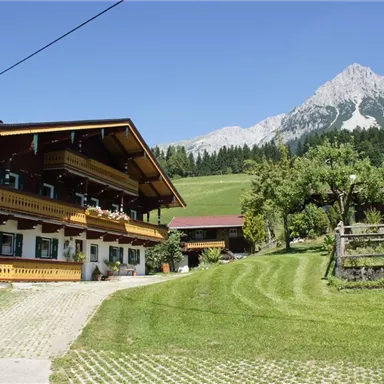 A traditional chalet with balconies in a picturesque mountain landscape. In the background, a majestic peak rises above green meadows and trees.
