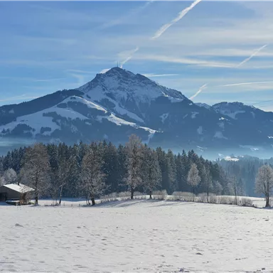 A snowy landscape with a majestic mountain in the background. In the foreground, there are trees and a small wooden house.