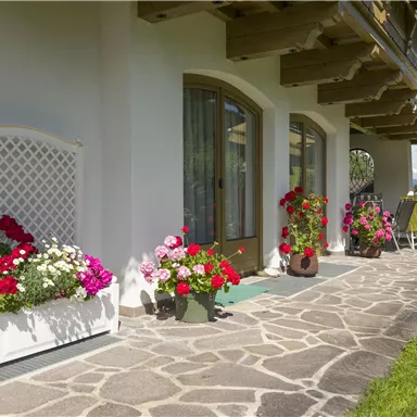 A beautiful entrance area with blooming flowers on both sides. The terrace has a relaxed atmosphere with a view of the greenery.