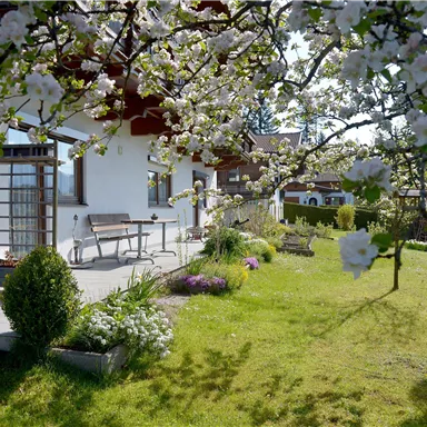 Ein schöner Garten mit blühenden Bäumen und frischem Grün. Im Hintergrund steht ein helles Haus mit einer Terrasse.