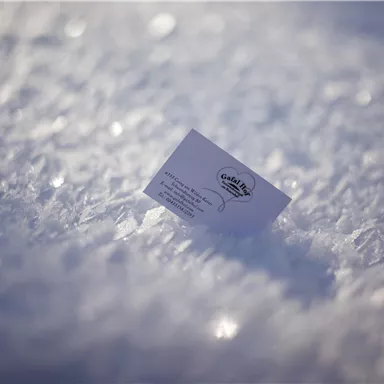 Eine kleine Visitenkarte liegt auf einer schneebedeckten Fläche. Der Schnee glitzert im Licht.