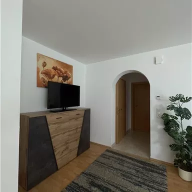 Eine helle Wohnung mit einem Fernsehmöbel und einem großen Pflanzenarrangement. Im Hintergrund ist ein Bogen, der auf einen Flur führt.