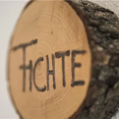Ein schönes Holzschild mit der Aufschrift "Fichte". Das Schild hat eine natürliche Kante und vermittelt einen rustikalen Eindruck.