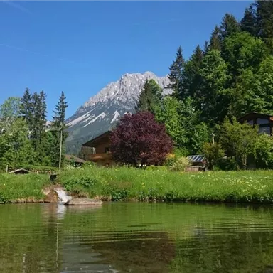 A tranquil pond surrounded by lush greenery and trees. In the background, mountains and a clear blue sky are visible.