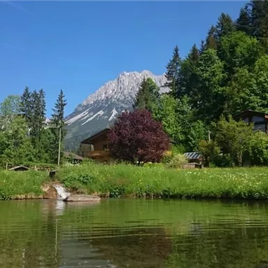 Ein ruhiger Teich umgeben von üppigem Grün und Bäumen. Im Hintergrund sind Berge und ein klarer, blauer Himmel sichtbar.