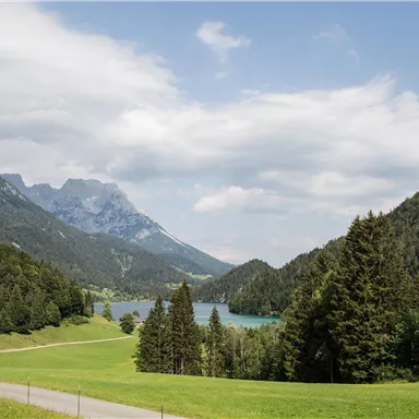 A picturesque landscape with mountains and a clear lake. Green meadows and forests surround the scene.
