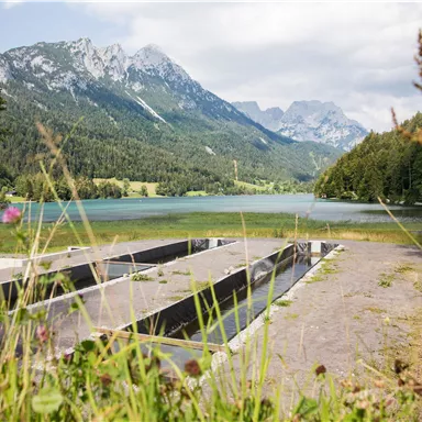 A tranquil landscape with a clear lake and majestic mountains in the background. In the foreground, there are some stone structures and green grass.