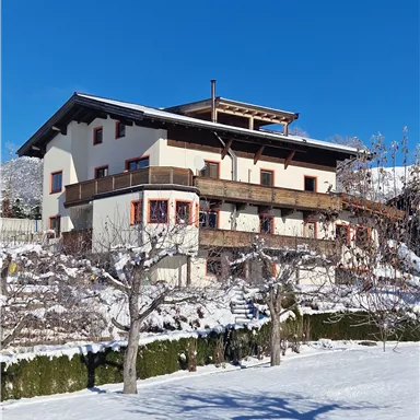 A large house in the snow with a clear blue sky. Surrounded by snow-covered trees, the garden is wintrily beautiful.