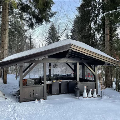 A cozy cabin in the snowy landscape, surrounded by pine trees. In front of the cabin, there are some white ducks.