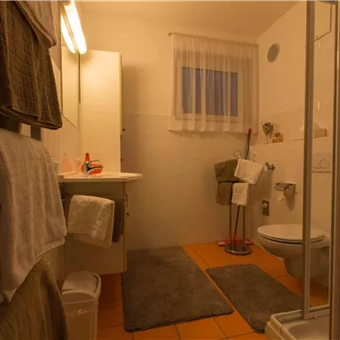 Ein modernes Badezimmer mit einer Dusche, einem Waschbecken und einem WC. Die Wände sind hell, und Handtücher hängen ordentlich auf einem Handtuchhalter.