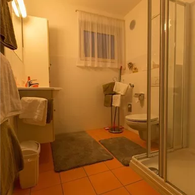 Ein modernes Badezimmer mit einer Dusche und einem WC. Der Raum ist hell erleuchtet und hat einen warmen Farbton.