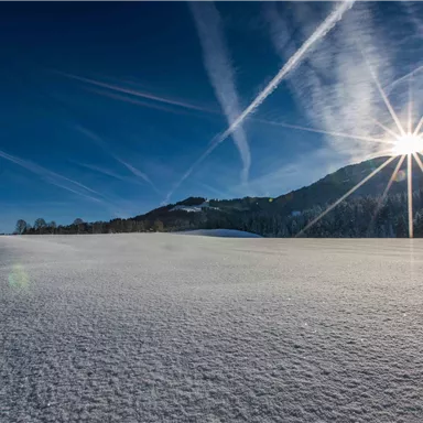 A winter snow-covered field under a clear blue sky. The sun shines brightly over the horizon, creating beautiful light reflections.
